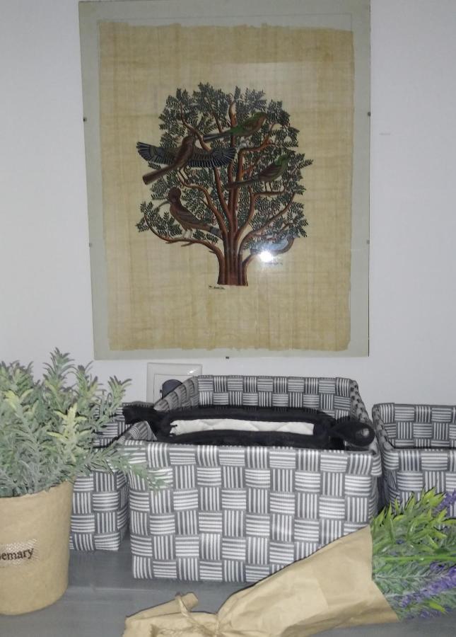 Chania 1548 Old Town Apartments المظهر الخارجي الصورة